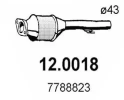 Handler.Part Catalytic converter ASSO 120018 1