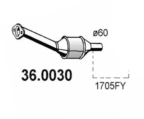 Handler.Part Catalytic converter ASSO 360030 1