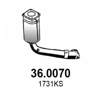 Handler.Part Catalytic converter ASSO 360070 1