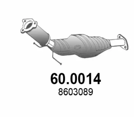 Handler.Part Catalytic converter ASSO 600014 1