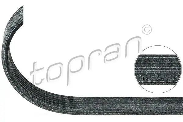 Handler.Part V-ribbed belts Topran 100124 1