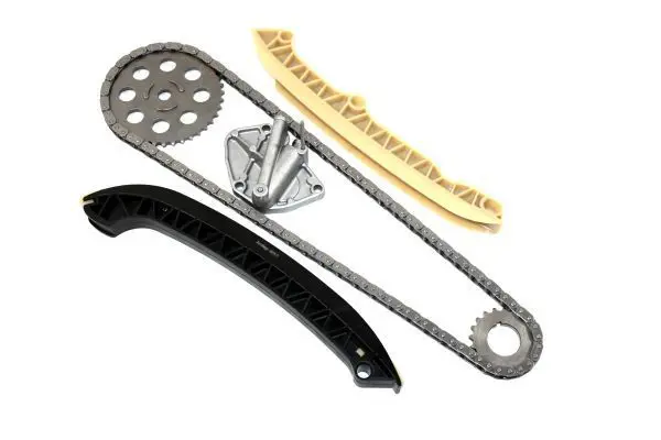 Handler.Part Timing chain kit AUTOMEGA DELLO 130130510 1