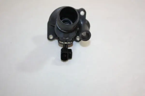 Handler.Part Thermostat, coolant AUTOMEGA DELLO 160025110 1