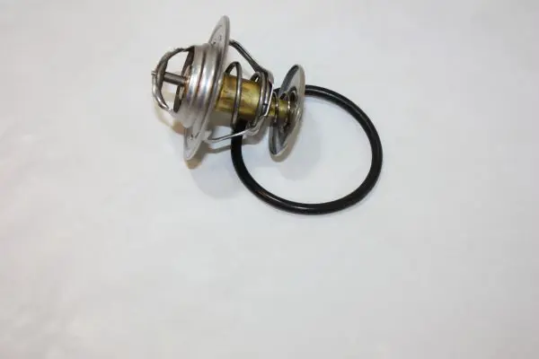 Handler.Part Thermostat, coolant AUTOMEGA DELLO 160047210 1