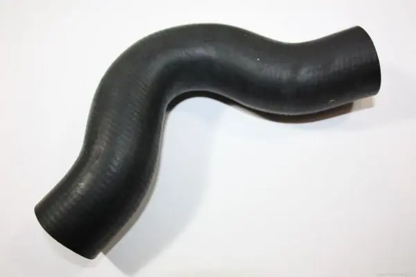 Handler.Part Radiator hose AUTOMEGA DELLO 160097710 1