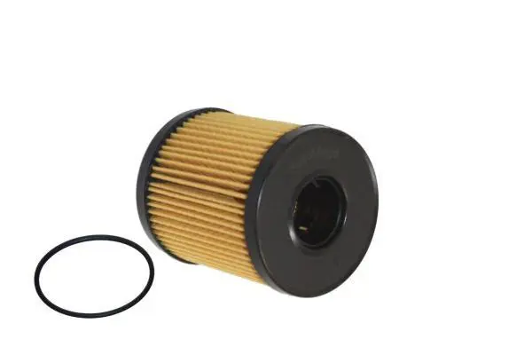 Handler.Part Oil filter AUTOMEGA DELLO 180036210 1