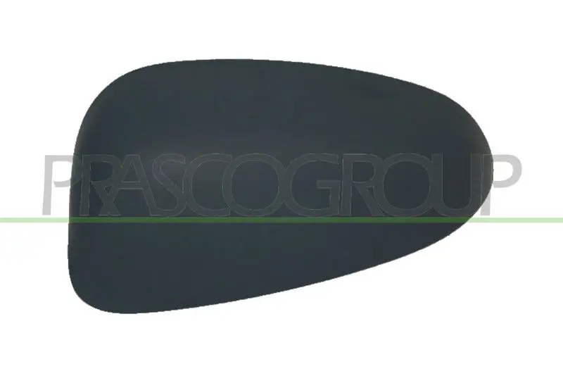 Handler.Part Cover, outside mirror PRASCO FT1387404 1