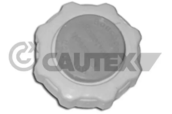 Handler.Part Sealing plug, coolant flange CAUTEX 954230 1