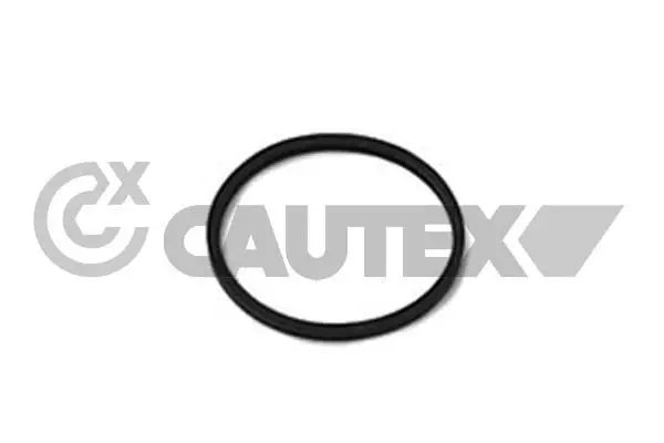 Handler.Part Gasket, thermostat CAUTEX 952038 1