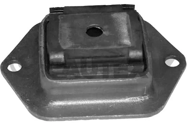 Handler.Part Mounting, axle beam CAUTEX 030435 1