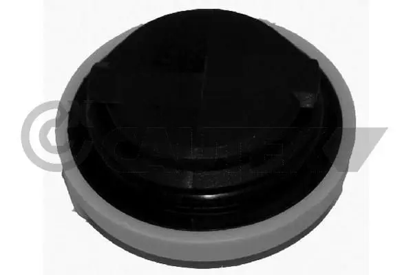 Handler.Part Sealing cap, oil filling port CAUTEX 481066 1