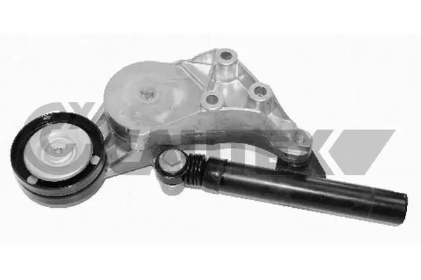 Handler.Part Tensioner lever, v-ribbed belt CAUTEX 461346 1