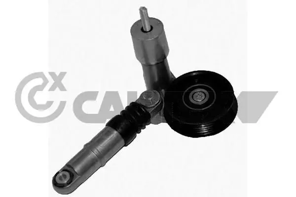 Handler.Part Belt tensioner, v-ribbed belt CAUTEX 461351 1