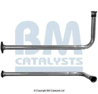 Handler.Part Exhaust pipe BM CATALYSTS BM50541 1