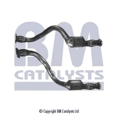 Handler.Part Catalytic converter BM CATALYSTS BM80254H 1