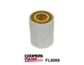 Handler.Part Air filter FIAAM FL9069 2