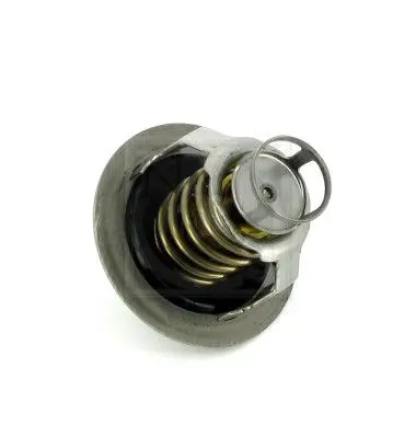 Handler.Part Thermostat, coolant NPS N153N06 2