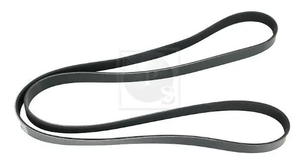 Handler.Part V-ribbed belts NPS N111N66 1