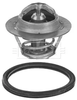 Handler.Part Thermostat, coolant BORG & BECK BBT064 2