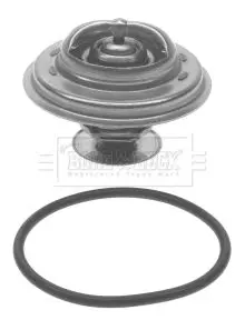 Handler.Part Thermostat, coolant BORG & BECK BBT076 1