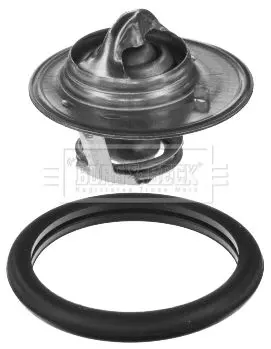 Handler.Part Thermostat, coolant BORG & BECK BBT050 1