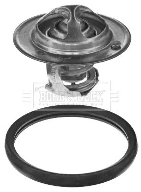 Handler.Part Thermostat, coolant BORG & BECK BBT237 1