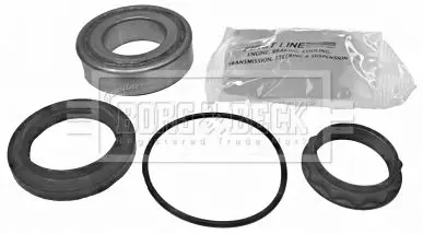 Handler.Part Wheel bearing kit BORG & BECK BWK295 1