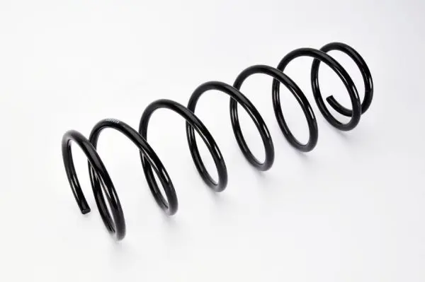 Handler.Part Coil spring MAGNUM TECHNOLOGY SG065MT 2