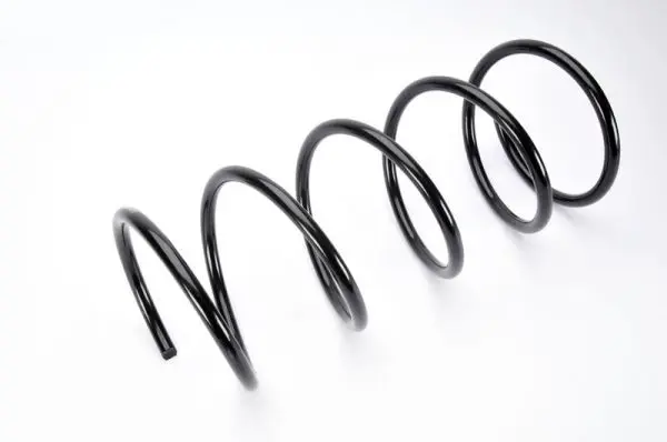 Handler.Part Coil spring MAGNUM TECHNOLOGY SV048MT 2