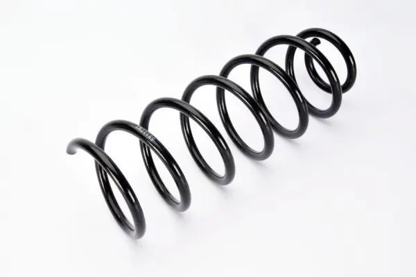 Handler.Part Coil spring MAGNUM TECHNOLOGY SX117MT 2