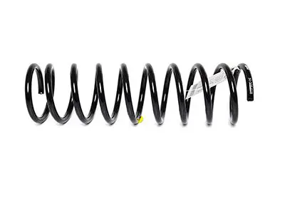 Handler.Part Coil spring BSG BSG30305018 1