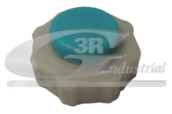 Handler.Part Sealing cap, coolant tank 3RG 80634 1