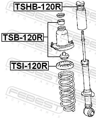 Handler.Part Spring cap FEBEST TSI120R 2