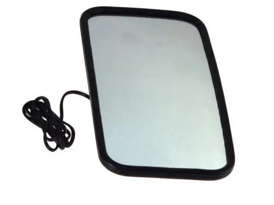 Handler.Part Exterior Mirror, driver cab PACOL MANMR010 1