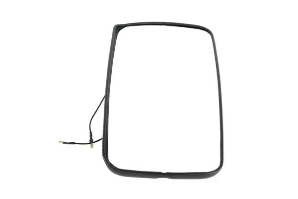 Handler.Part Exterior Mirror, driver cab PACOL RVIMR001 2