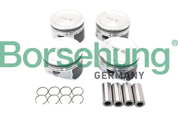 Handler.Part Piston ring kit Borsehung B13580 1