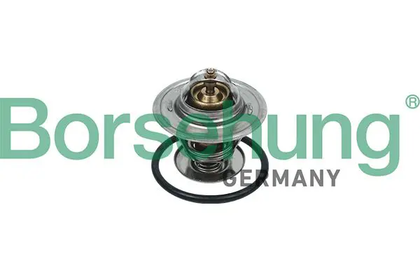 Handler.Part Thermostat, coolant Borsehung B18246 1