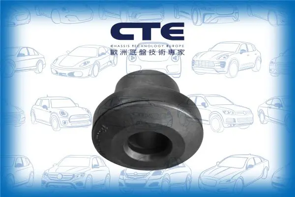 Handler.Part Control arm-/trailing arm bush CTE CBH03008 1