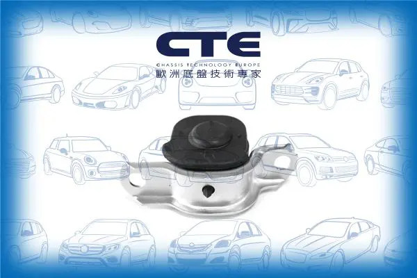 Handler.Part Control arm-/trailing arm bush CTE CBH05025R 1