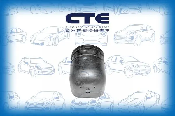 Handler.Part Control arm-/trailing arm bush CTE CBH06012 1