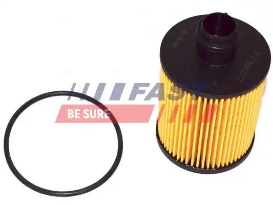 Handler.Part Oil filter FAST FT38077 1